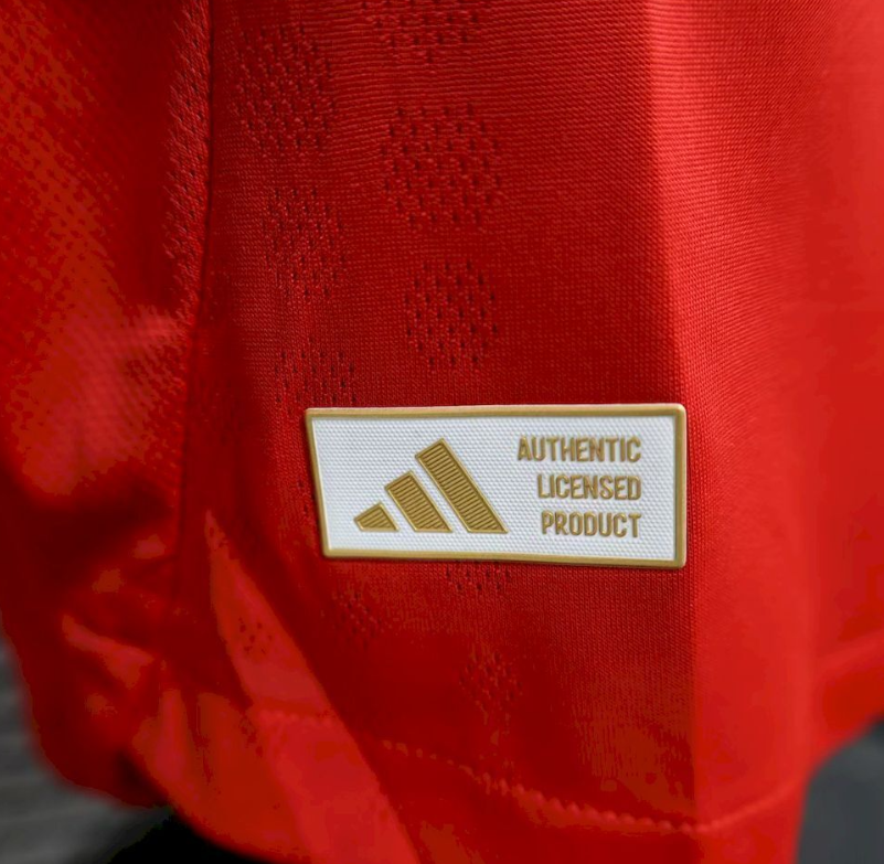 2025/2026 Player Version Benfica Home Football Jersey 1:1