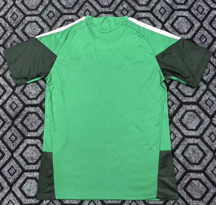 2026/2027 Algeria National Team Training Suit Football Shirt 1:1