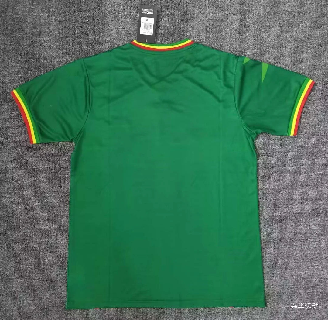 2024 Mali Africa Cup Away Football Shirt 1:1