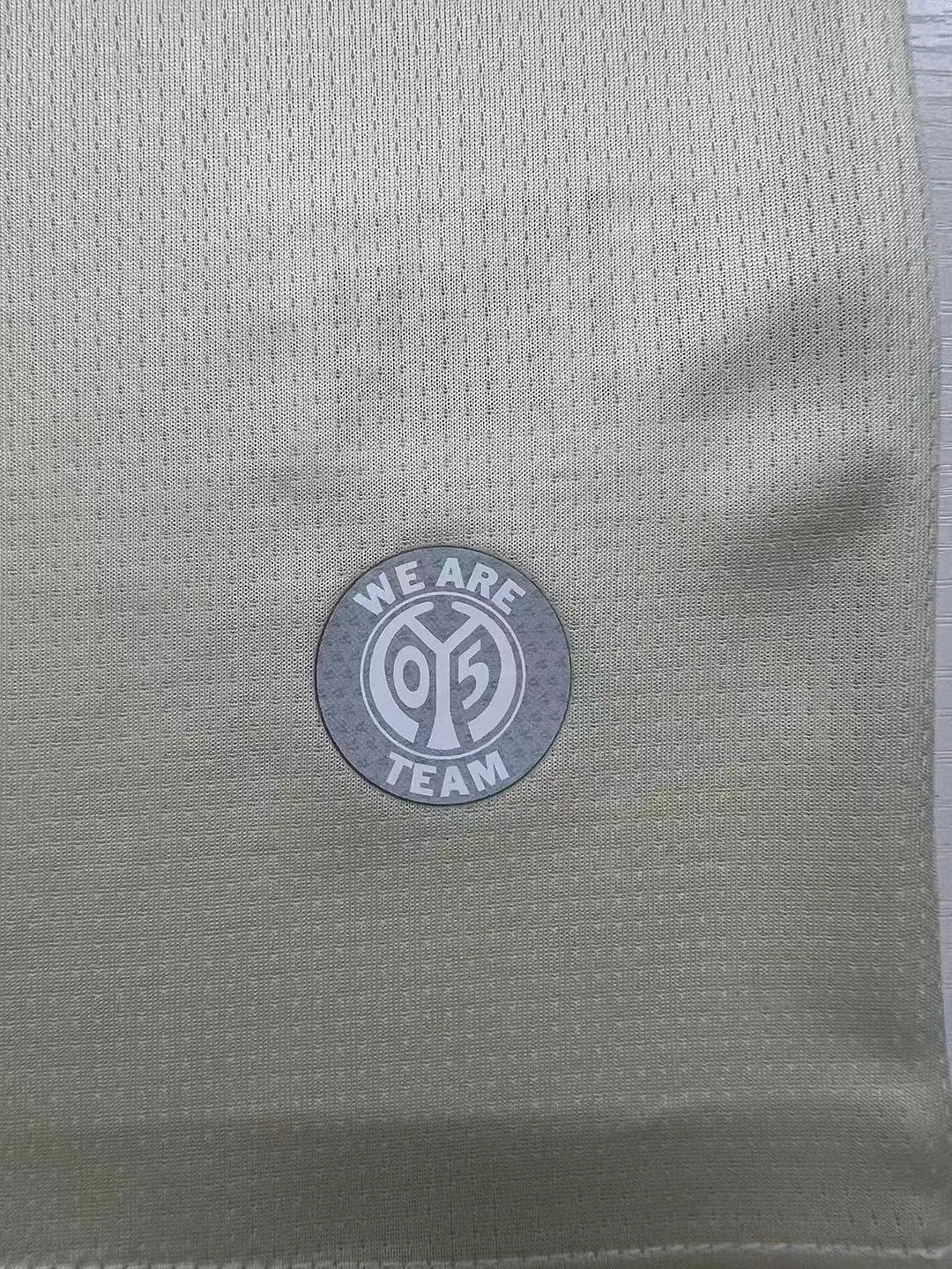 2025/2026 FSV Mainz 05 Third Away Football Jersey 1:1