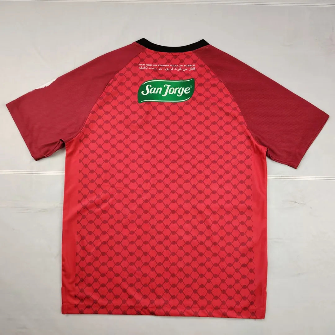 2025/2026 Palestine Special Edition 02 Football Shirt 1:1