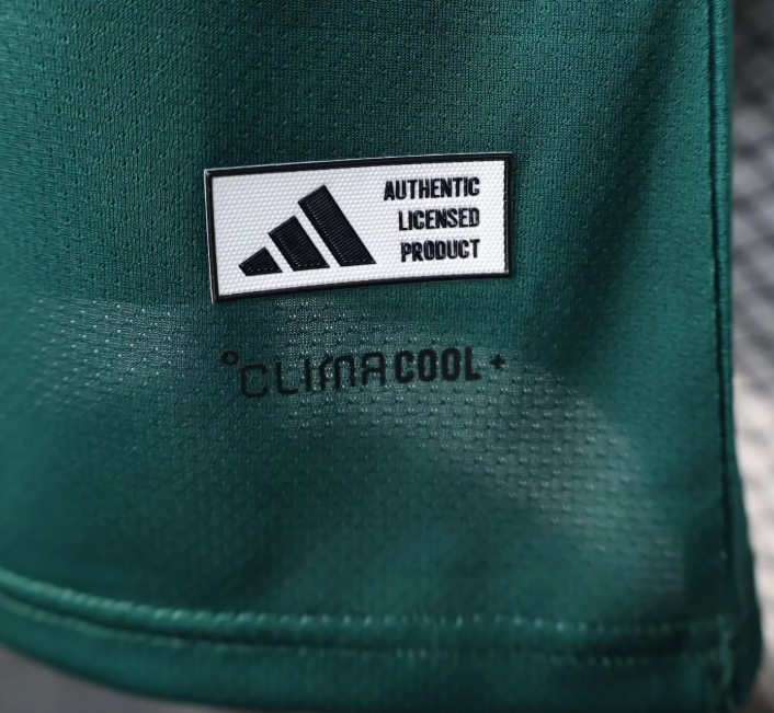 2026 Player Version Saudi Arabia Special Edition 01 Football Shirt 1:1