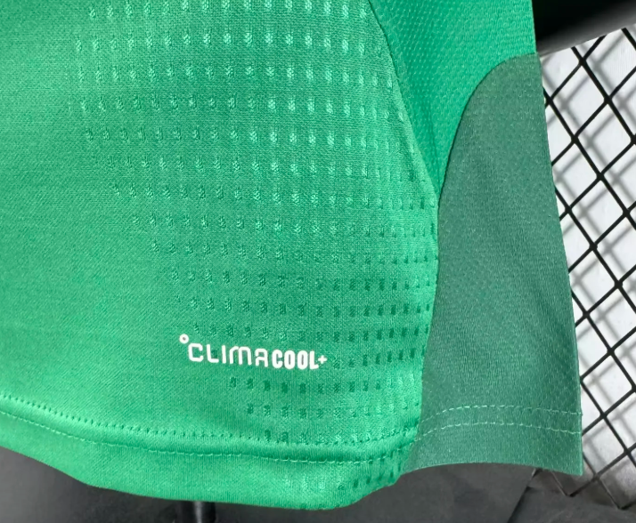 2026 Player Version Mexico National Training Suit Football Jersey 1:1