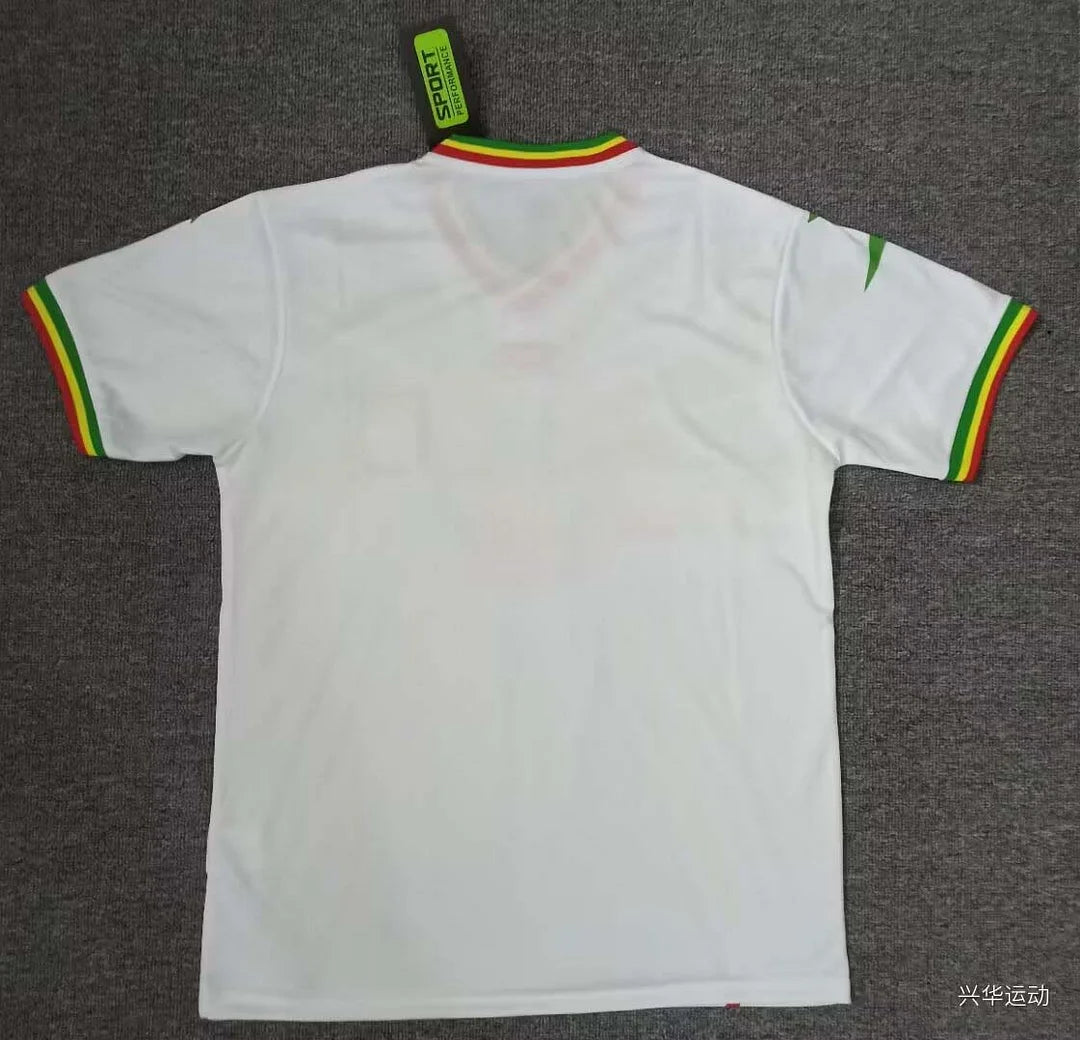 2024 Mali Africa Cup Home Football Shirt 1:1