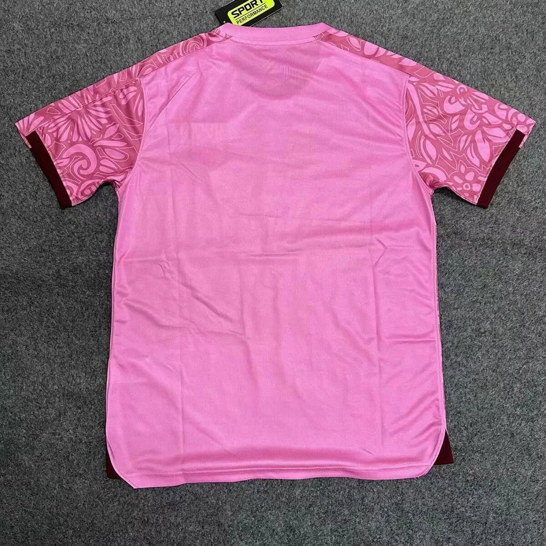 2025/2026 Palestine Training clothes pink Football Shirt 1:1