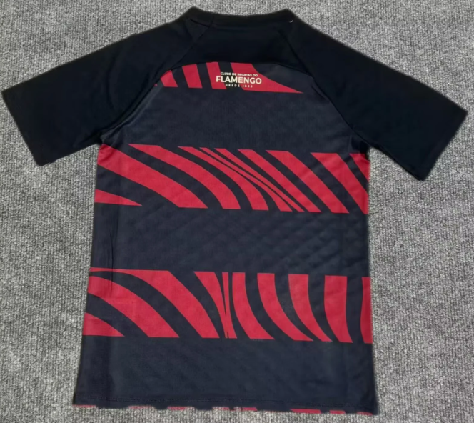 2025/2026 Flamengo Special Edition Football Jersey 1:1