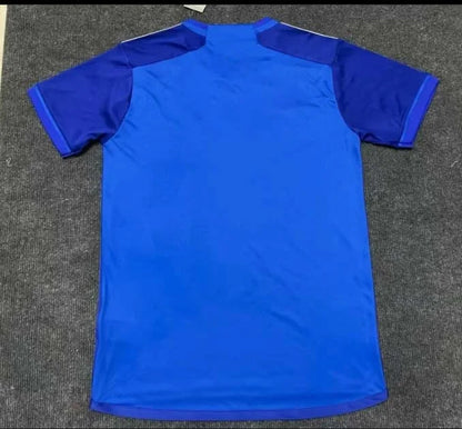 2024/2025 Cruzeiro Home Jersey 1:1