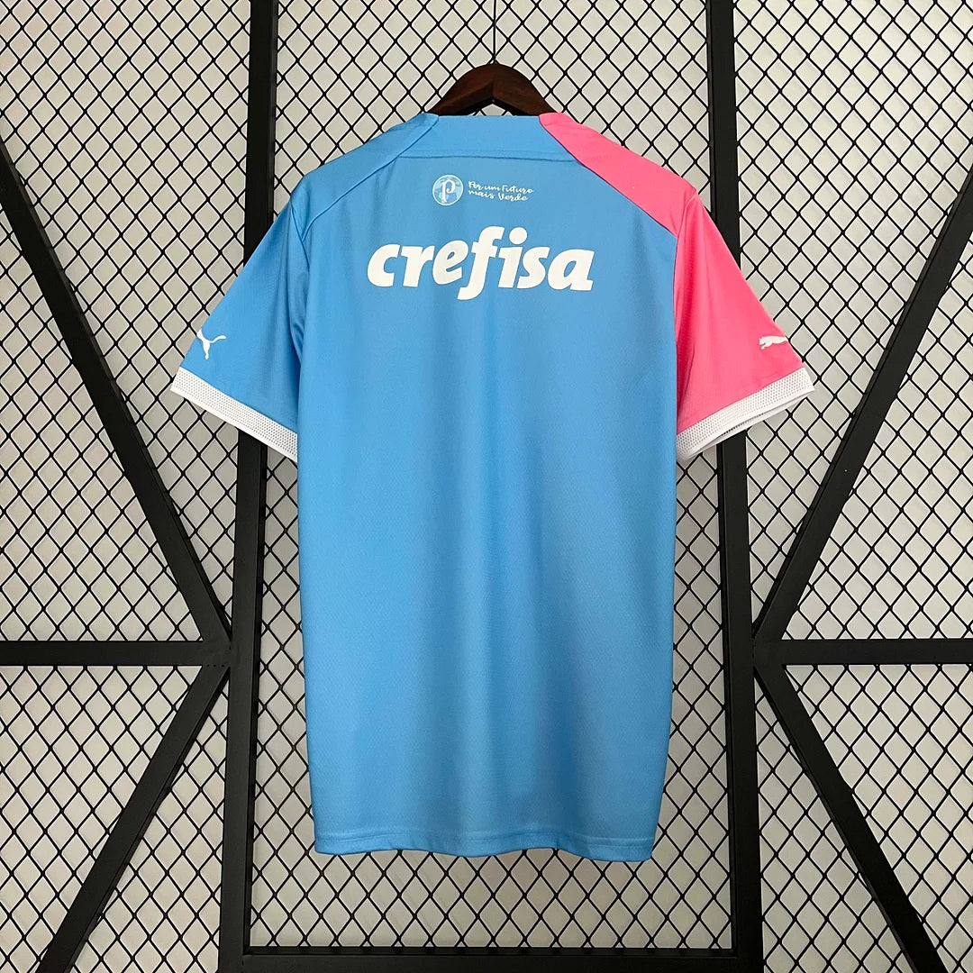 2023/2024 Palmeiras Commemorative Edition Jersey 1:1