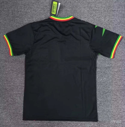 2024 Mali Africa Cup Third Away Football Shirt 1:1