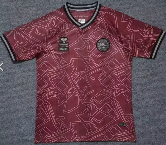 2024/2025 Denmark National Team Special Edition Football Shirt 1:1