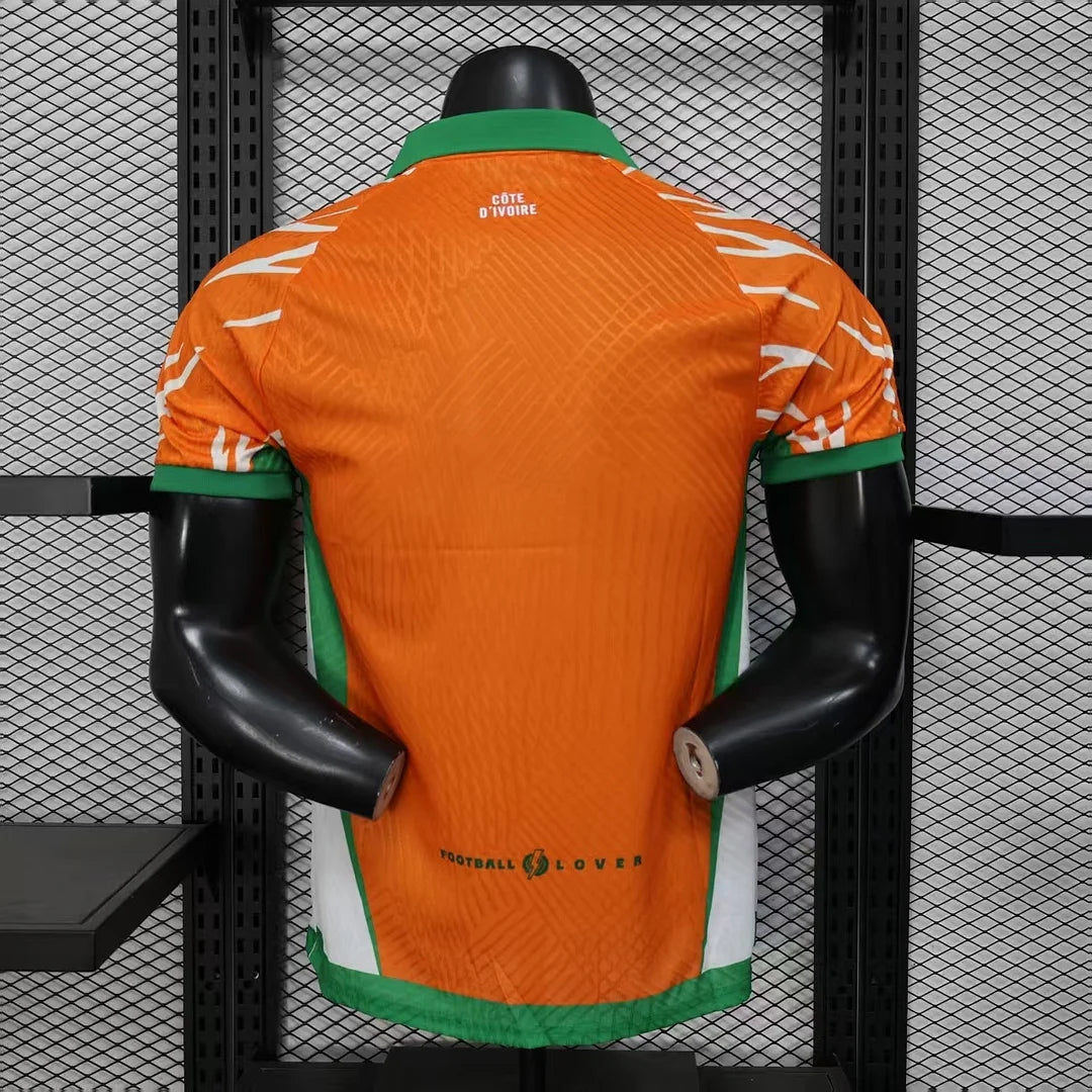 2025/2026 Player Version Lvory Coast National Team Special Edition 02 Football Shirt 1:1