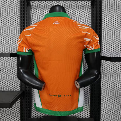 2025/2026 Player Version Lvory Coast National Team Special Edition 02 Football Shirt 1:1