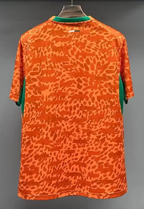 2026 Lvory Coast National Team Home Football Shirt 1:1