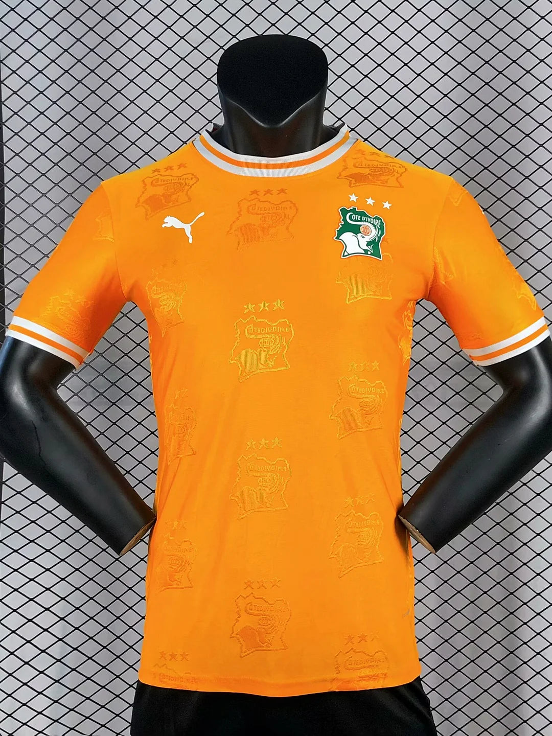 2025/2026 Player Version Lvory Coast National Team Home Football Shirt 1:1