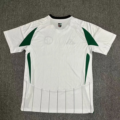 2024-2025 Schalke 04 Away Football Jersey 1:1