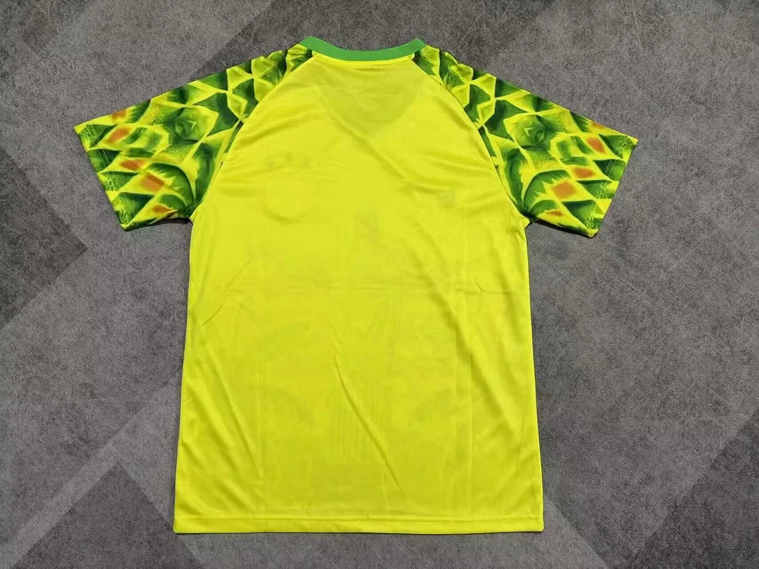 2025/2026 Brazil Special Edition 20 Football Shirt 1:1