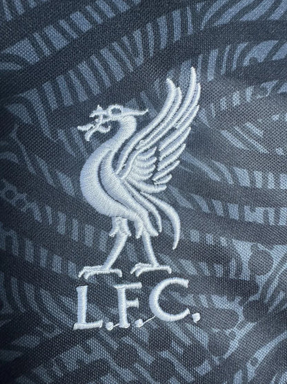 2021/2022 Liverpool Goalkeeper Soccer Jersey Black 1:1