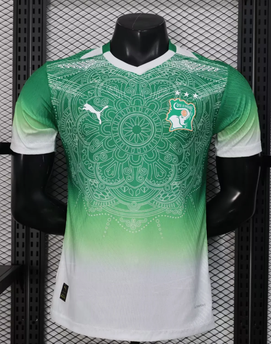 2026 Player Version Lvory Coast National Team Special Edition 02 Football Shirt 1:1