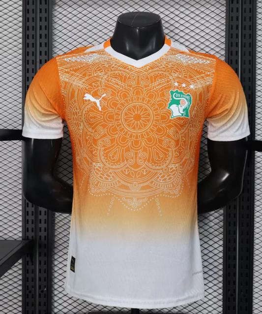 2026 Player Version Lvory Coast National Team Special Edition 01 Football Shirt 1:1
