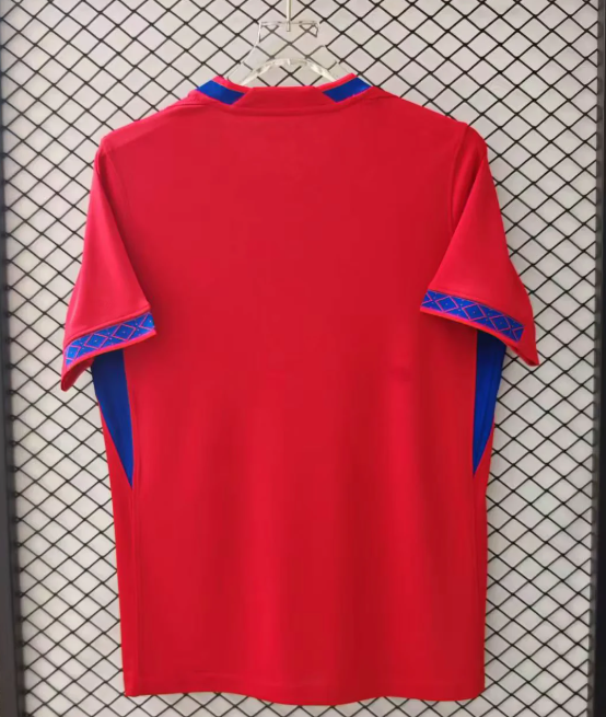 2025 Norway National Team Home Football Shirt 1:1