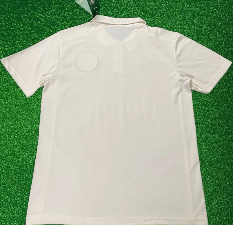 2025/2026 Palmeiras Special Edition 01 Football Jersey 1:1