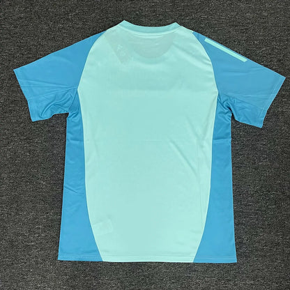 2025/2026 Flamengo Blue Training clothes Football Jersey 1:1