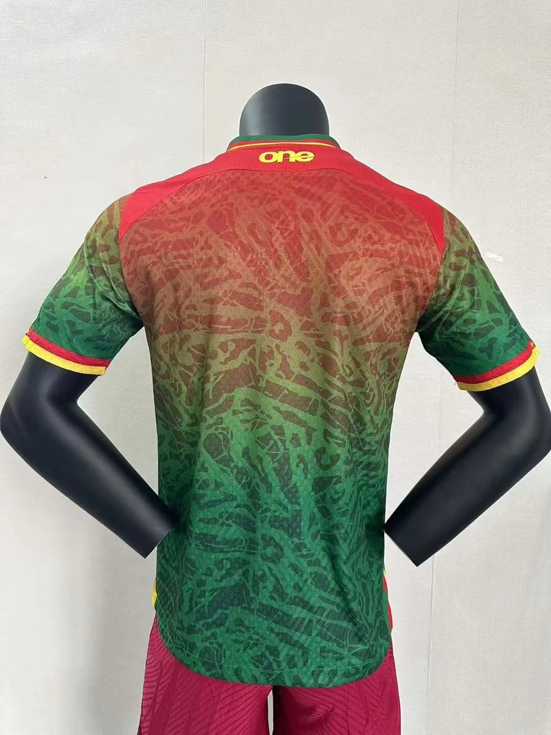 2024 Player Version Cameroon Home Football Shirt 1:1