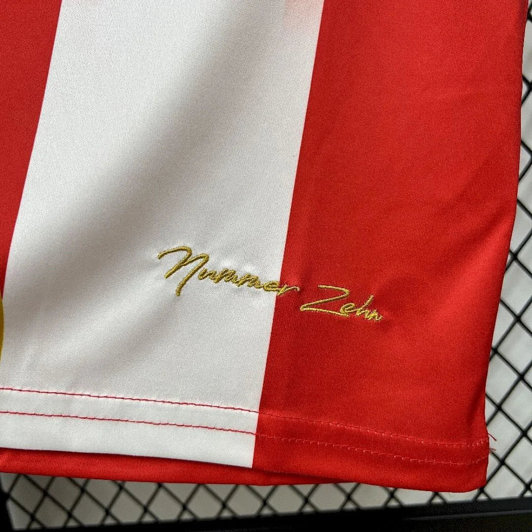 2025/2026 Bayern Munich Special Edition Football Jersey 1:1