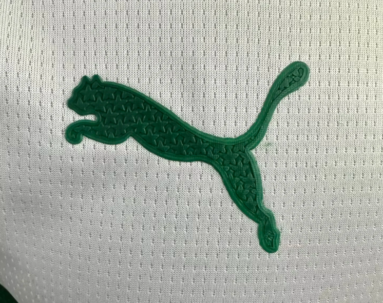 2025/2026 Player Version Palmeiras Commemorative Edition Football Jersey 1:1