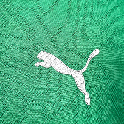 2025/2026 Palmeiras Training clothes Green Football Jersey 1:1