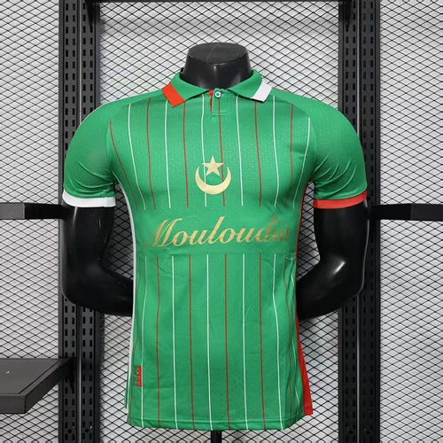 2025/2026 Player Version Palestine Special Edition Green Football Shirt 1:1