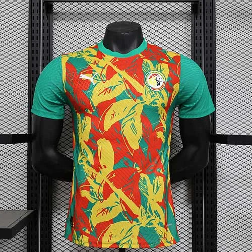 2025/2026 Player Version Senegal National Team Pre-match outfit Football Shirt 1:1