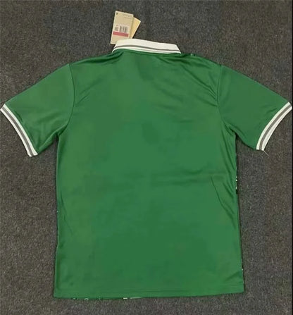 2023/2024 Nigeria National Team Home Football Shirt 1:1