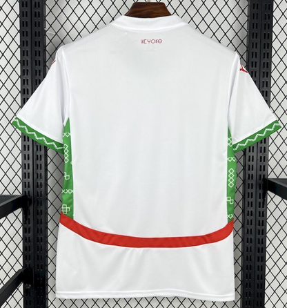 2025/2026 Morocco National Team Away Football Jersey 1:1