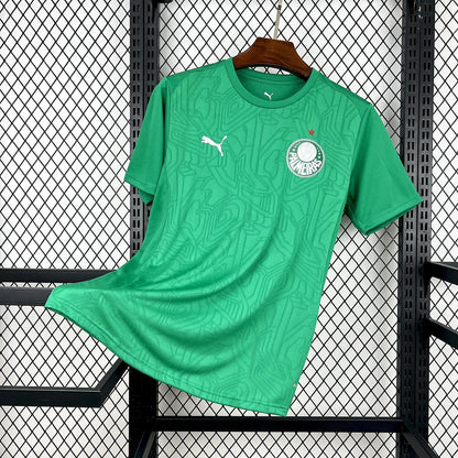 2025/2026 Palmeiras Training clothes Green Football Jersey 1:1