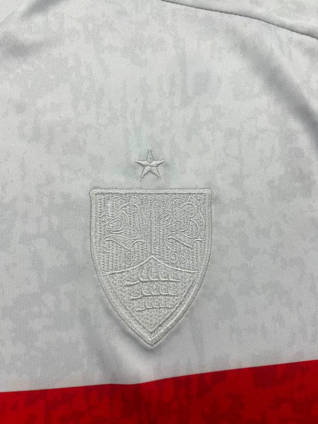 2025/2026 VfB Stuttgart Special Edition Football Jersey 1:1