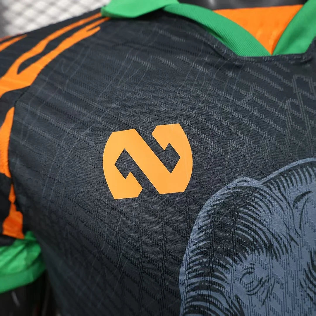 2025/2026 Player Version Lvory Coast National Team Special Edition 03 Football Shirt 1:1