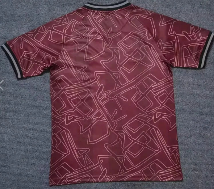 2024/2025 Denmark National Team Special Edition Football Shirt 1:1