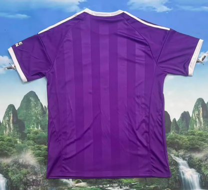 2025/2026 Aston Villa Goalkeeper Purple Football Shirt 1:1