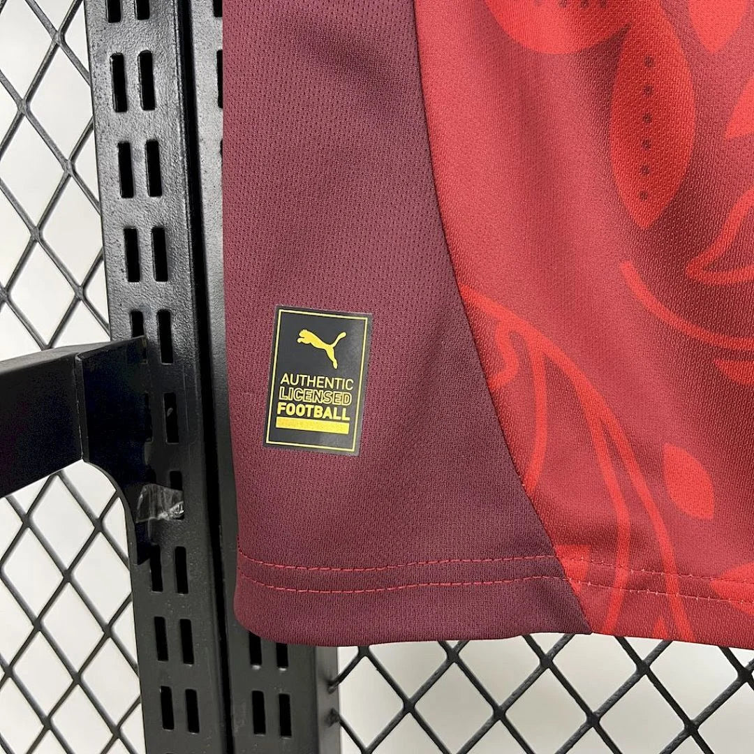 2025-2026 Portugal Concept version Red Football Jersey 1:1