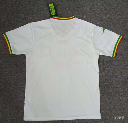 2024 Mali Africa Cup Home Football Shirt 1:1